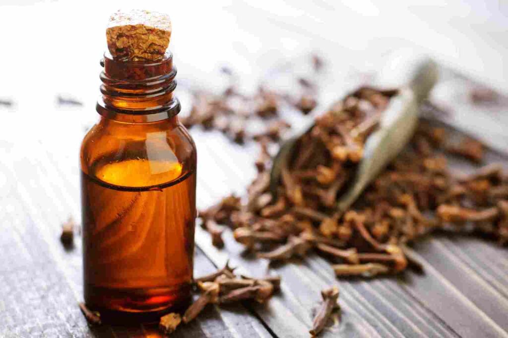 Benefits of Clove Oil for Dental Care Products