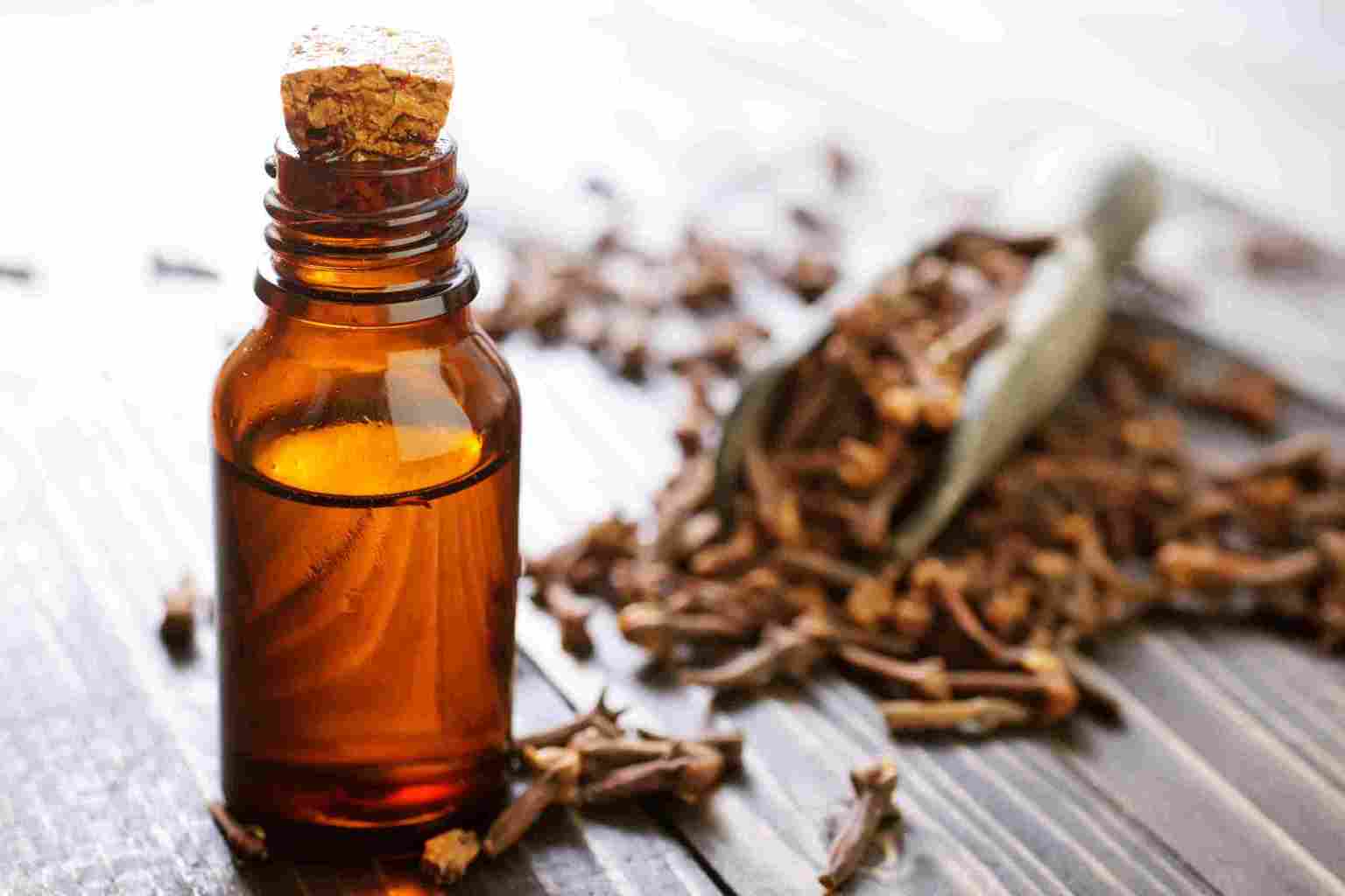 Benefits of Clove Oil for Dental Care Products