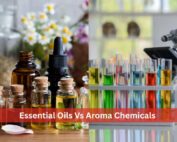 Essential Oils vs Aroma Chemicals