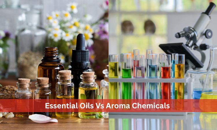  Essential oils vs aroma chemicals comparison chart