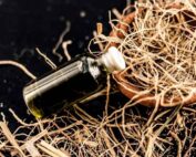 Benefits of Vetiver Essential Oil