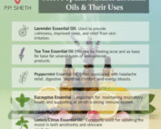 Best Natural Essential Oils for Aromatherapy
