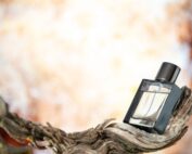 future-of-fragrance