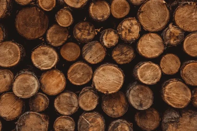 Earthy and woody notes – Emerald Kalama