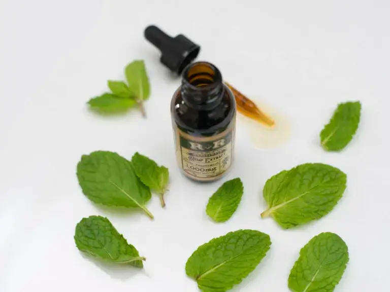 Essential oil dropper bottle with fresh mint leaves – essential oils for pharmaceutical and OTC products