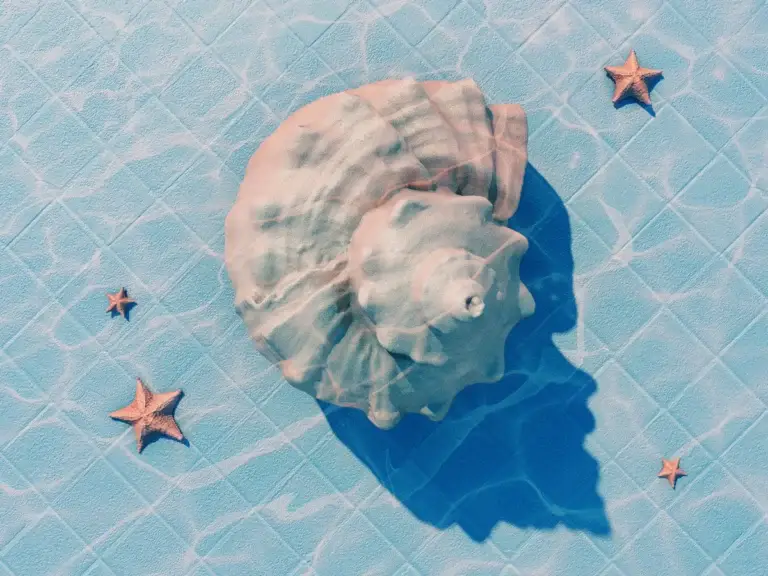 Green and marine fragrance ingredients – seashell in clear water for fresh cosmetic scents