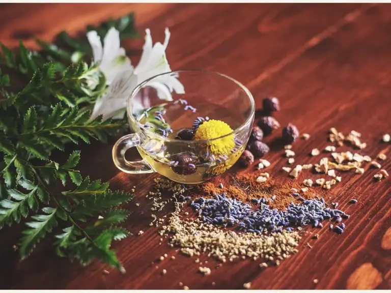 Herbs, seeds and oil on a wooden table – herbal and ayurvedic formulation ingredients